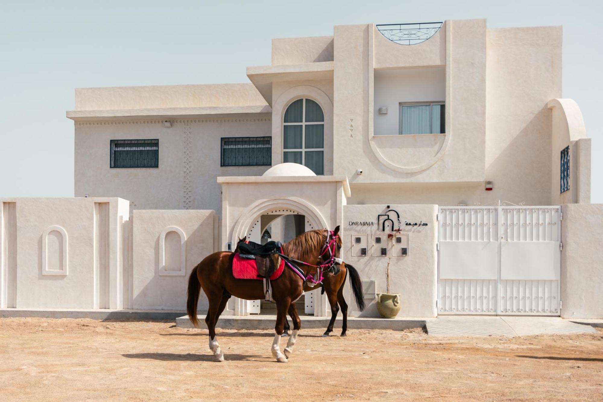 Villa Dar Mima - Luxury Djerba Triffa