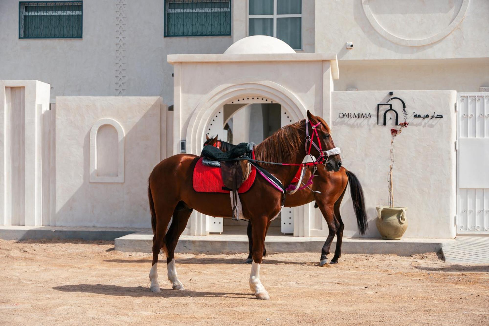 Villa Dar Mima - Luxury Djerba *