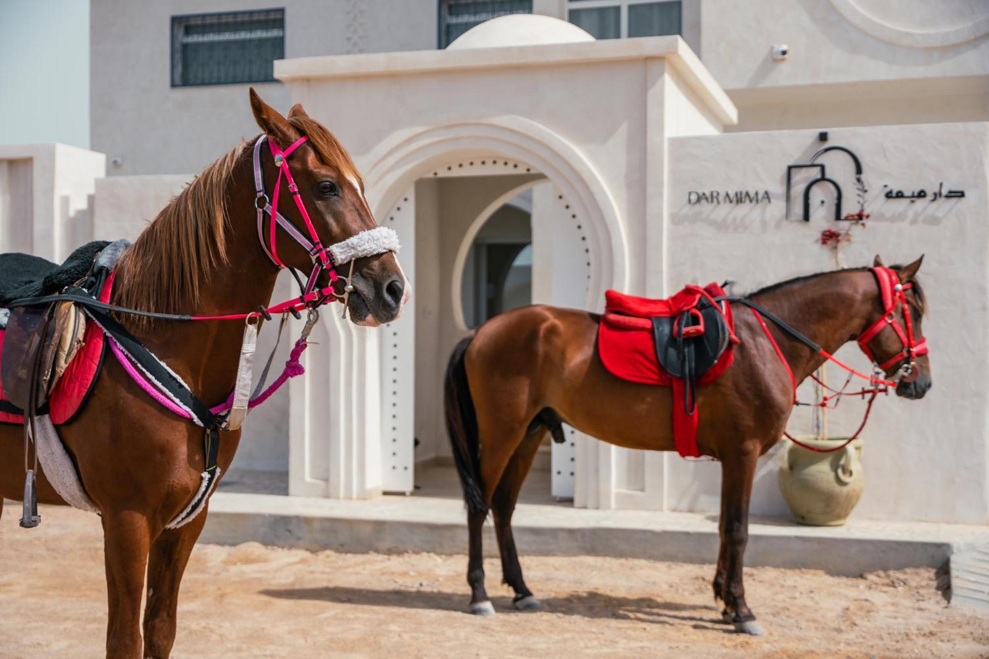 Dar Mima - Luxury Djerba Triffa